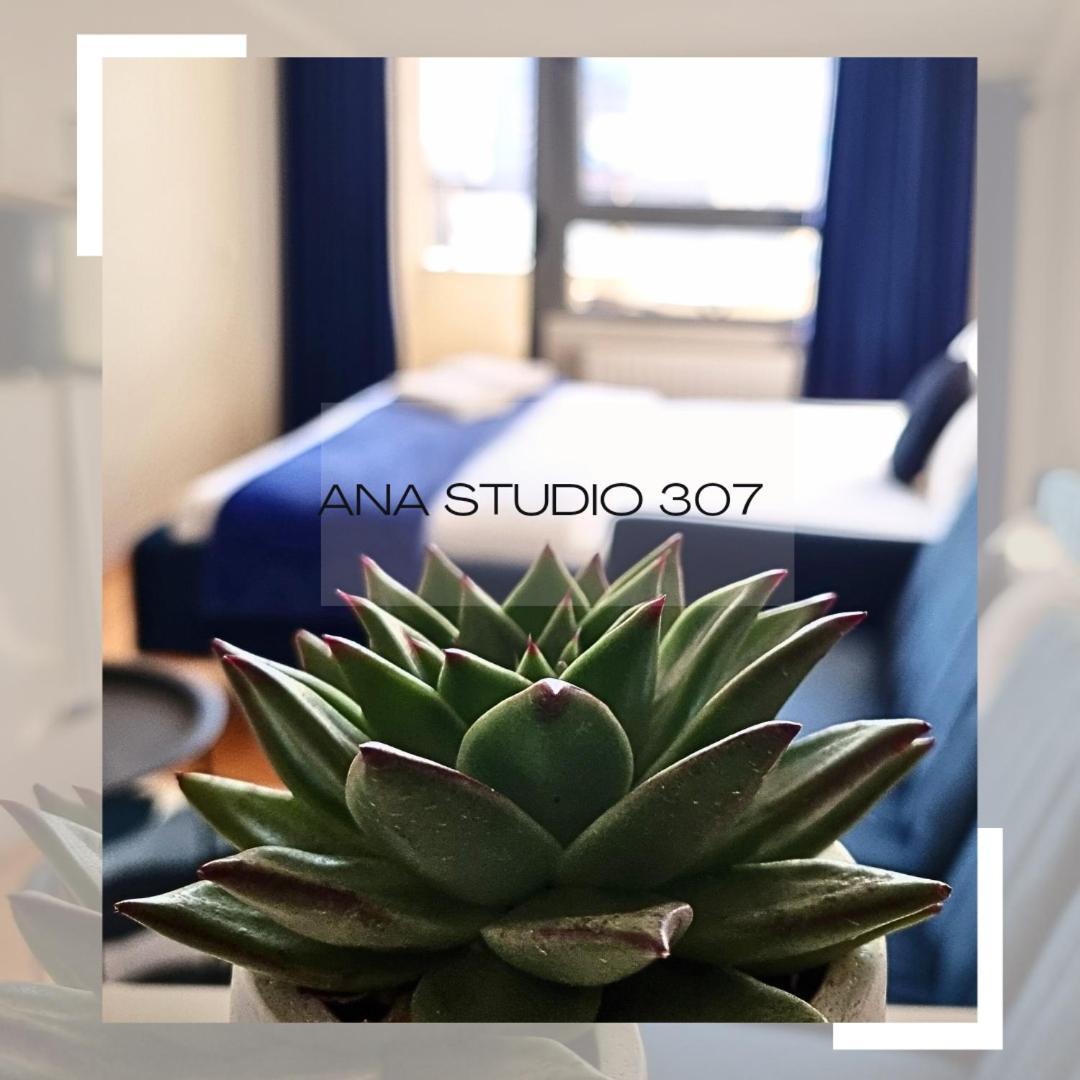프리슈티나 Ana Studio 307 아파트 외부 사진