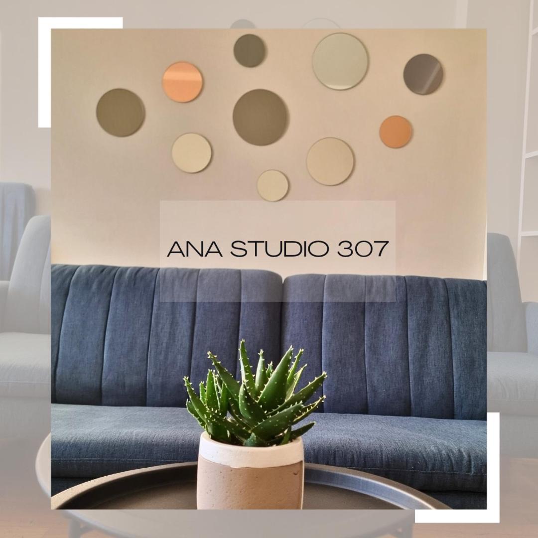 프리슈티나 Ana Studio 307 아파트 외부 사진